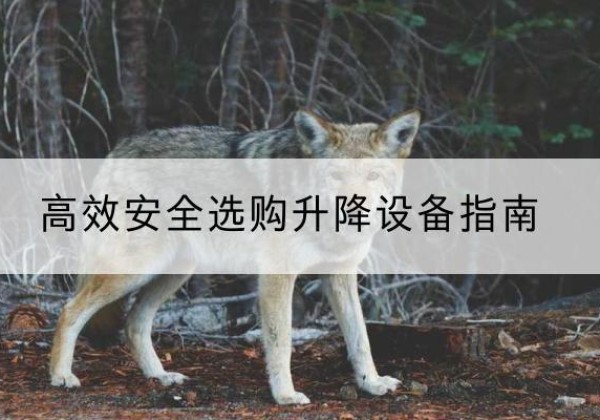 襄州升降货梯厂家推荐-*安全选购升降设备指南