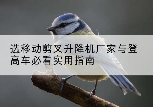 襄州电动升降机厂家-选移动剪叉升降机厂家与登高车必看实用指南