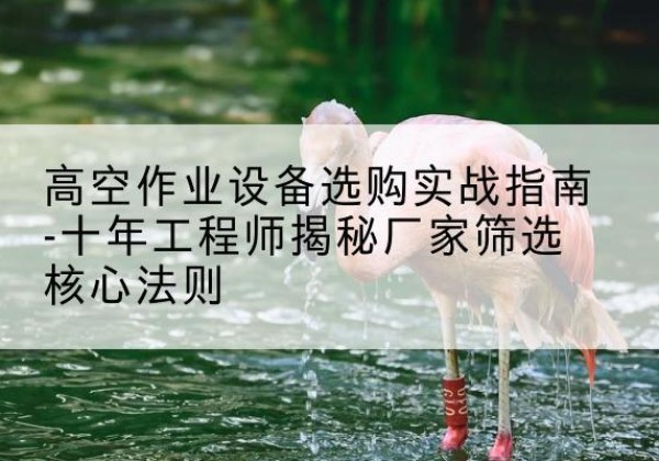 襄州剪叉式升降机厂家-高空作业设备选购实战指南-十年工程师揭秘厂家筛选核心法则